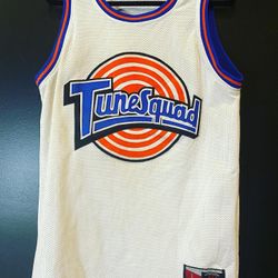 Vintage TuneSquad “TAZ” Basketball Jersey Size Medium 