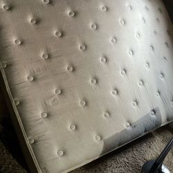 Queen Sized Mattress 