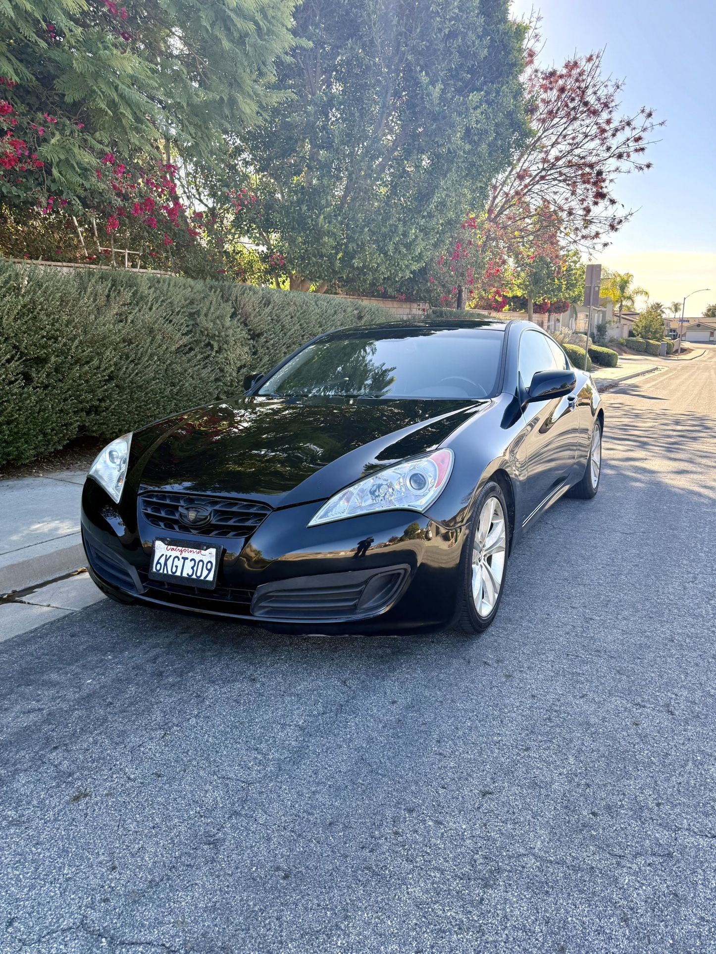 2010 Hyundai Genesis