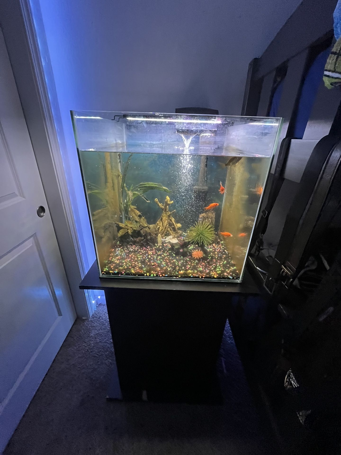 Selling Fish Tank