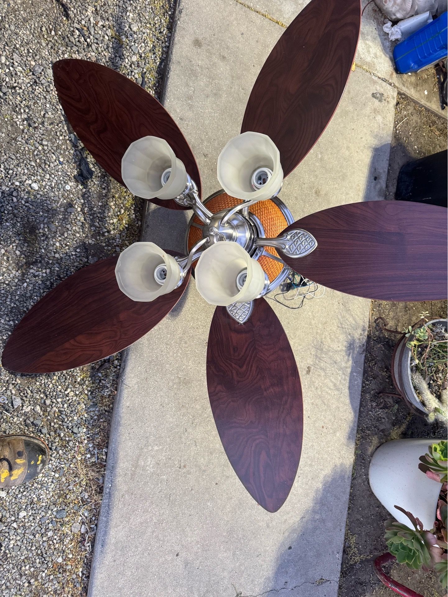 Celling fan