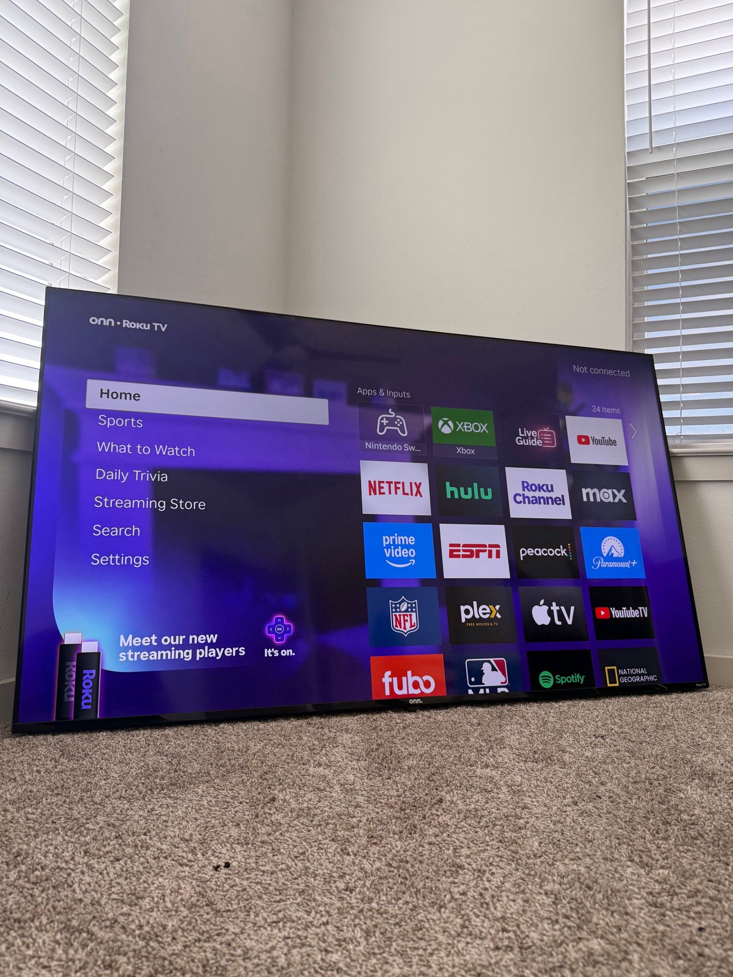 65” ROKU 4K HDR SMART TV