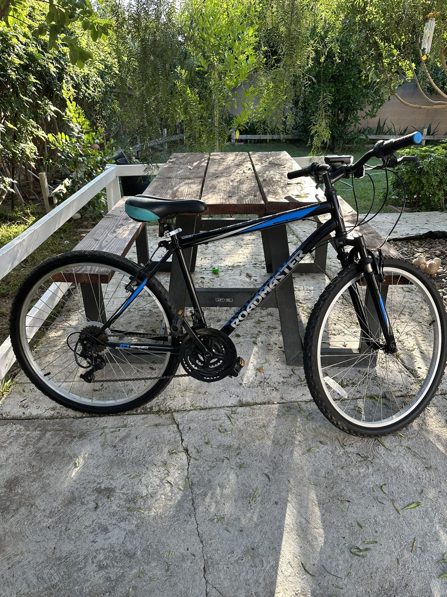 Mountain Bike