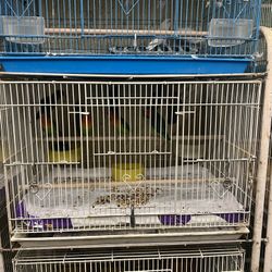 Bird Cages Lovebirds