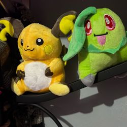 Raichu + Chikorita Studies!