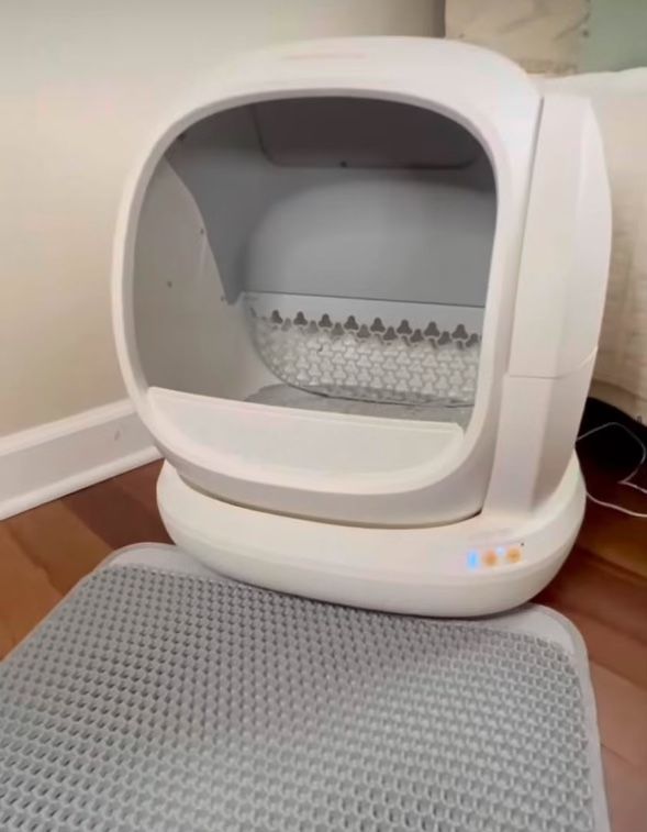 Automatic Kitty Litter Box