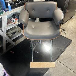 Beauty Salon Chair/barber Chair