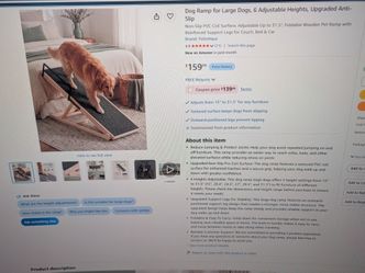 Dog ramp