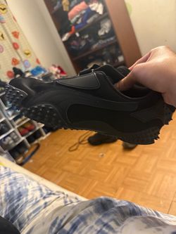 Puma Monstro