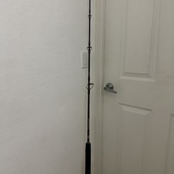 Penn Fishing Rod 