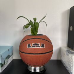 Lebron Basketball  Plant