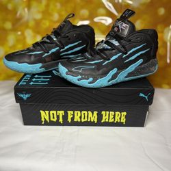 Boys MELOs
