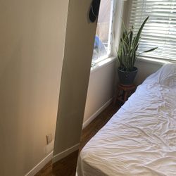 Mirror / Full Body Mirror 