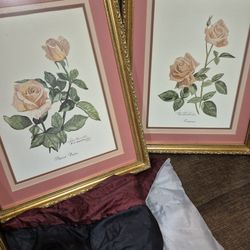 Apricot Nector And Tropicana Signed And Numbered By Jim Hamilton