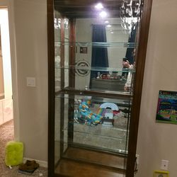 Curio Display Case