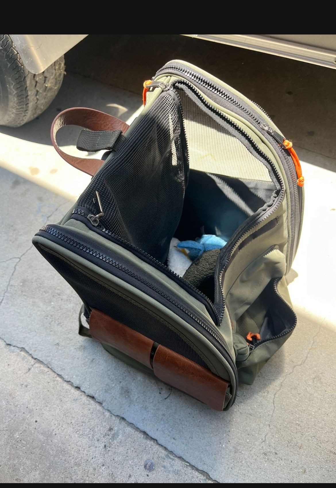 Puppy Back Pack