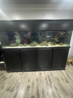 Large Aquarium Saltwater Ready Glass Used
