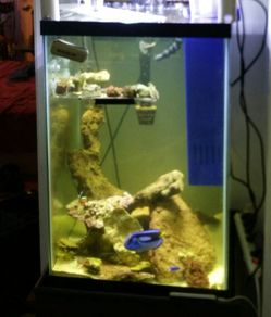 Aquarium