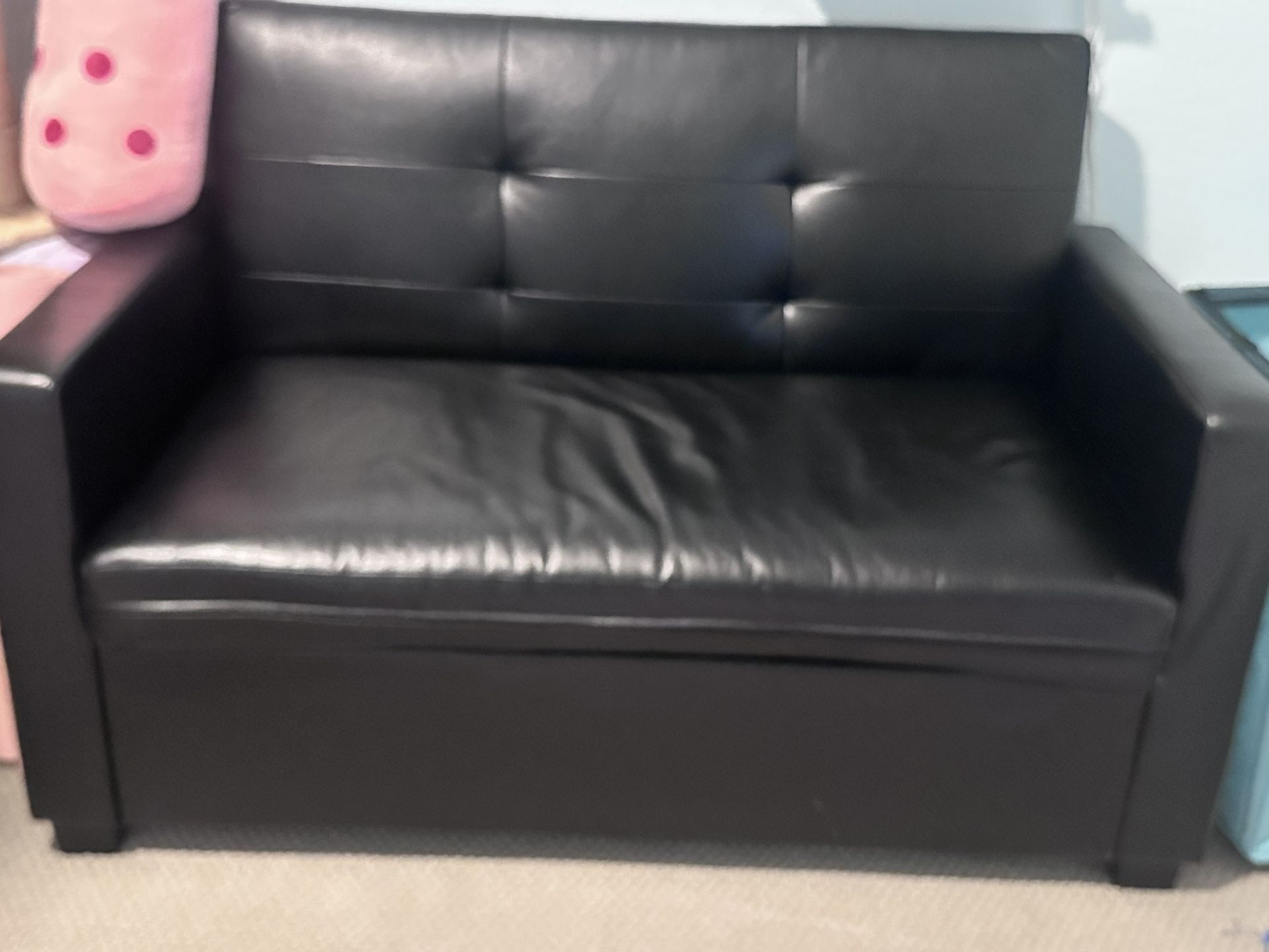 Loveseat Couch With Pull Out Twin Bed