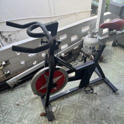 Schwinn Indoor Exercise Bike