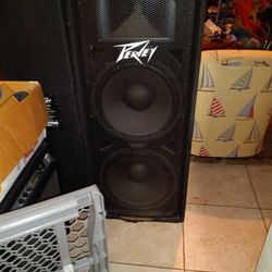Peavey Speakers 500 Firm They Cost 500 A Piece Need Gone house Is To Small Thanks