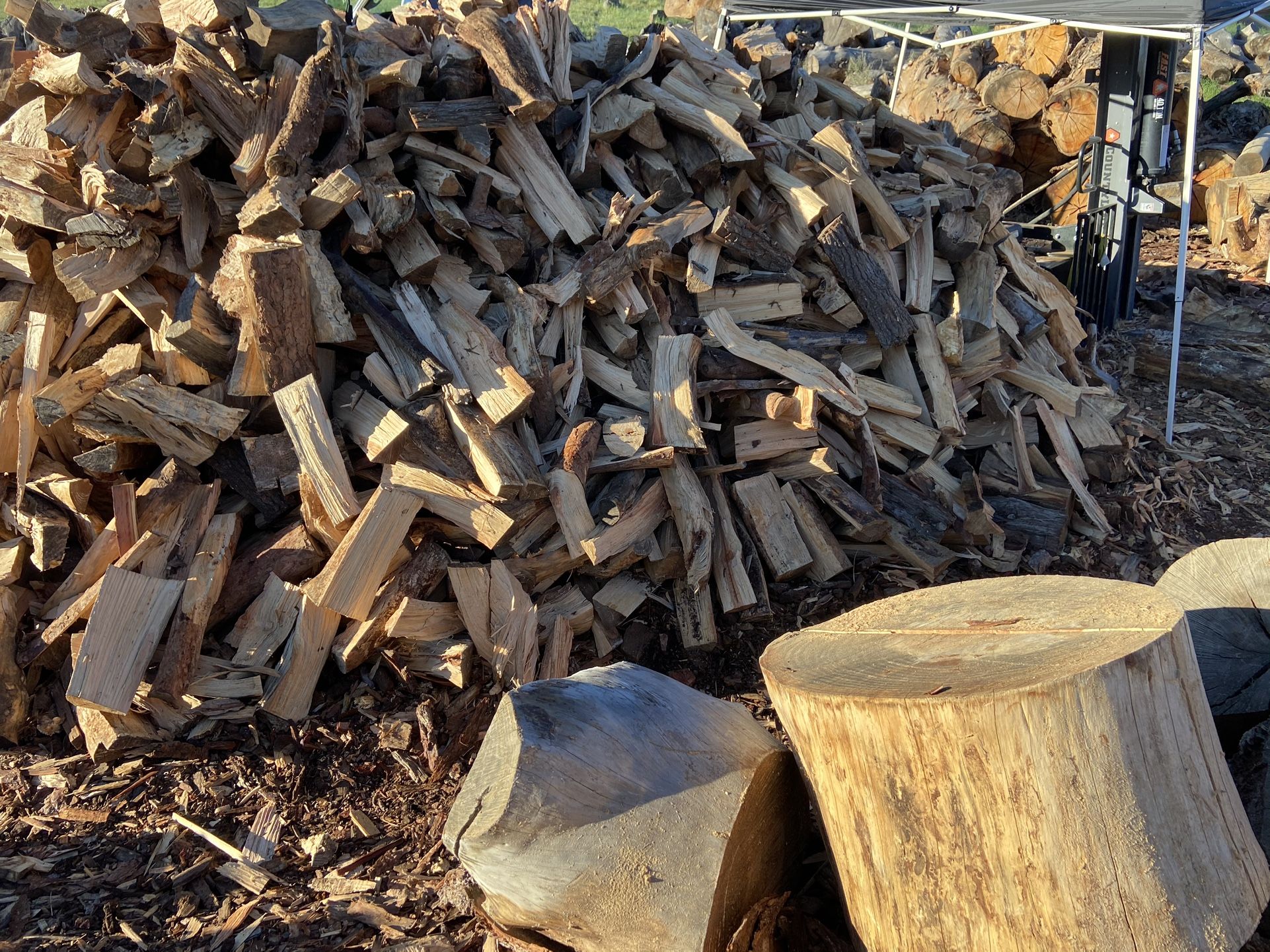 Firewood