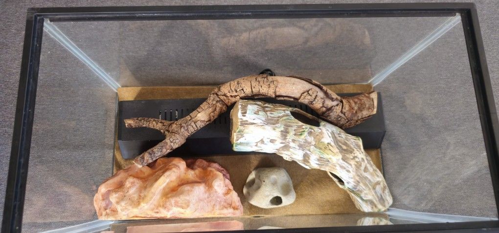 10 Gallon Glass Reptile/Fish Tank