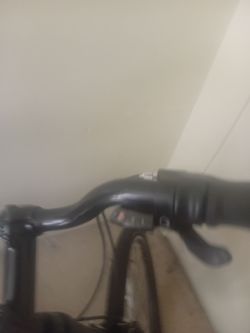 Cypress bike
