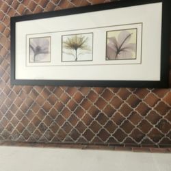 Flowers Under Xray Picture Style 81х122