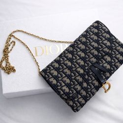 Dior Saddle Pouch