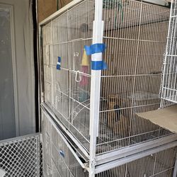 Large double bird cage