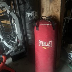 Punching Bags 