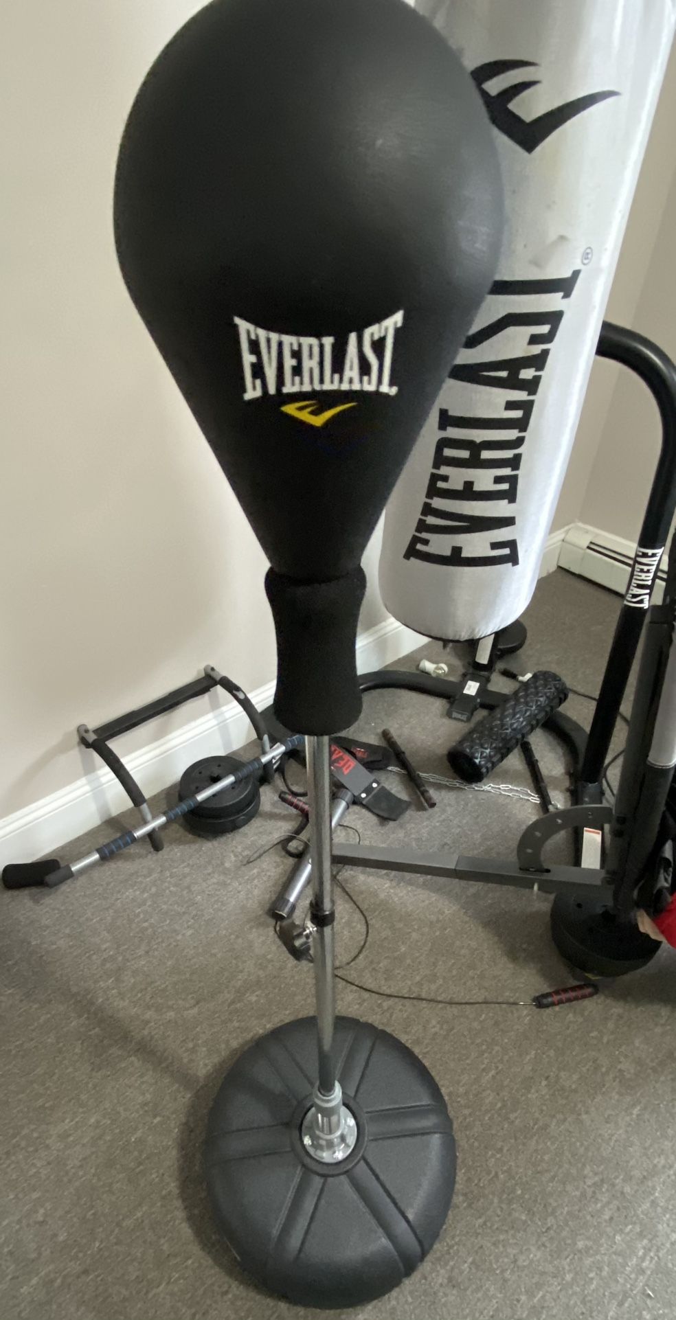 Everlast Reflex Punching Bag