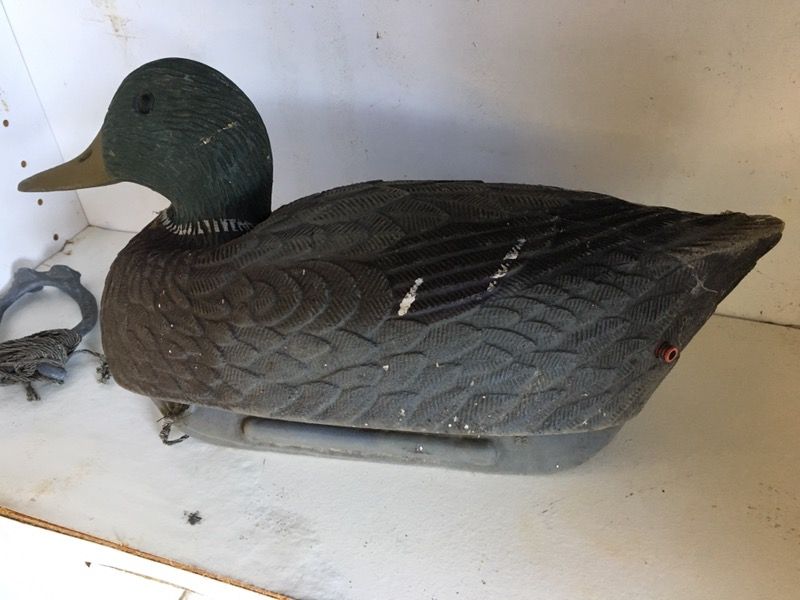 Old rubber duck decoys for Sale in Marysville, WA OfferUp