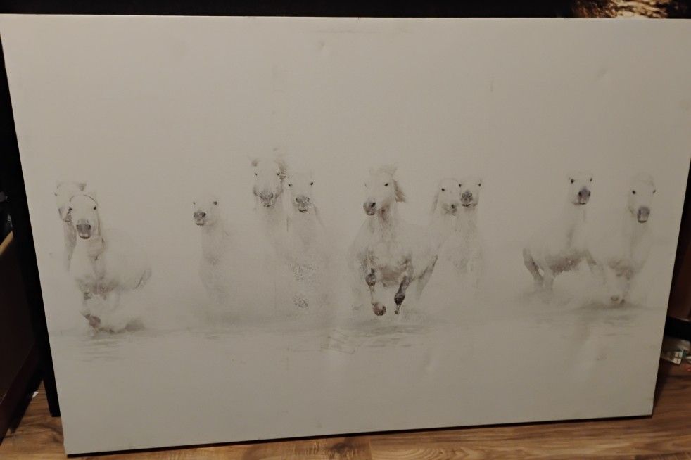 White Horses Canvas Art