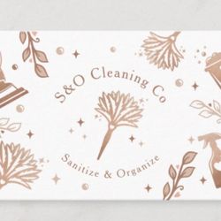 Sanitize & Organize Co