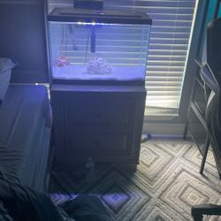 20 Gallon Fish Tank 