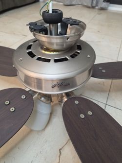 Ceiling fan