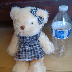 Teddy Girl Bear