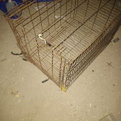 Dog Kennel
