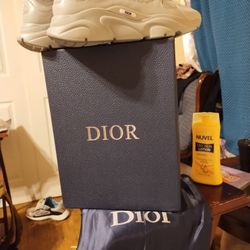 Dior B22