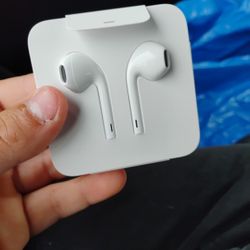 Apple Headphones 