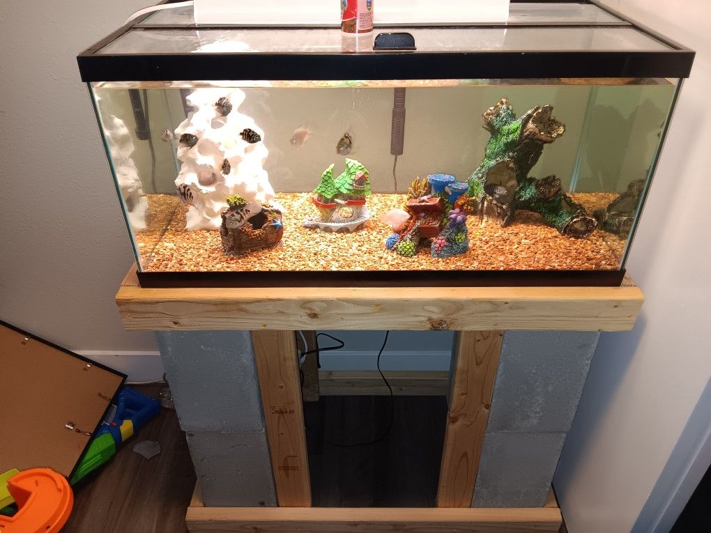 Breeder Fish Tank With Stand