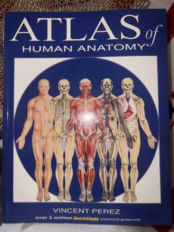 Atlas of Human Anatomy
