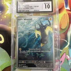 Pokémon Cards