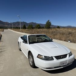 2003 Ford Mustang