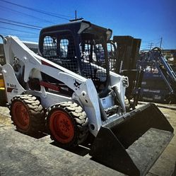 Bobcat 