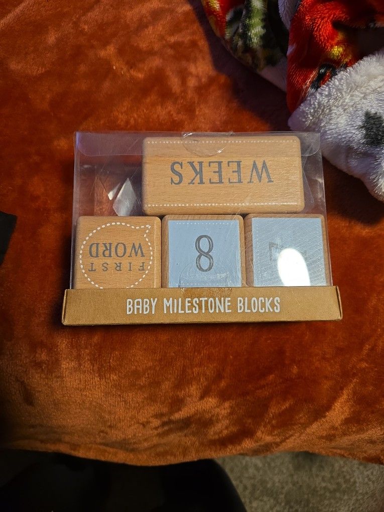 Baby Milestone Blocks