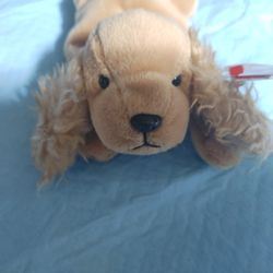 RARE BEANIE BABY SPUNKY