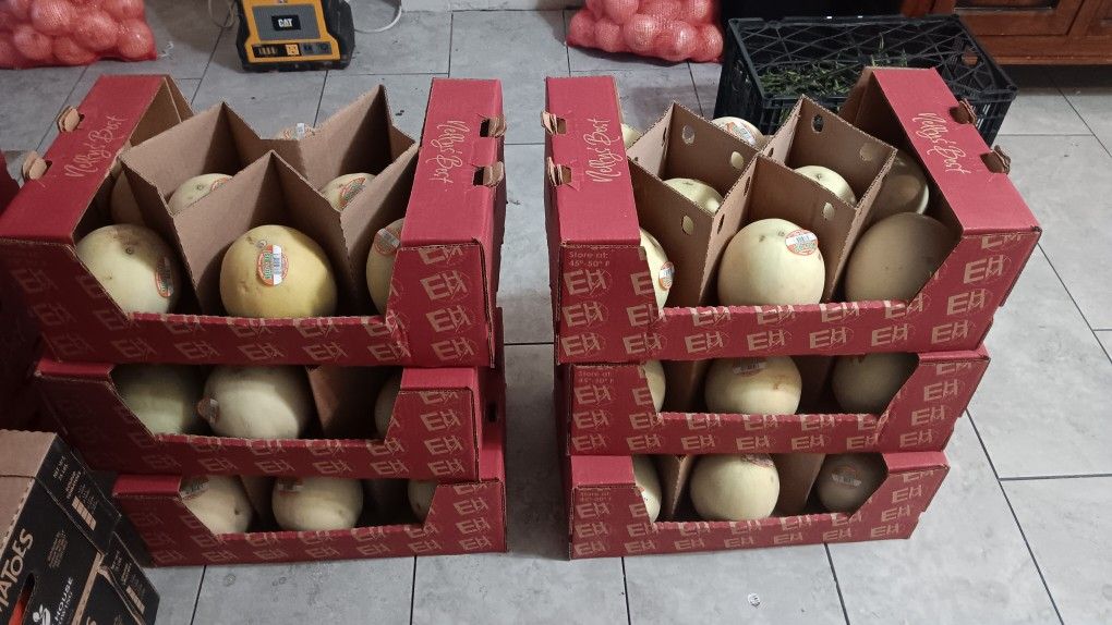 Melon Anaranjado 8 Pzas